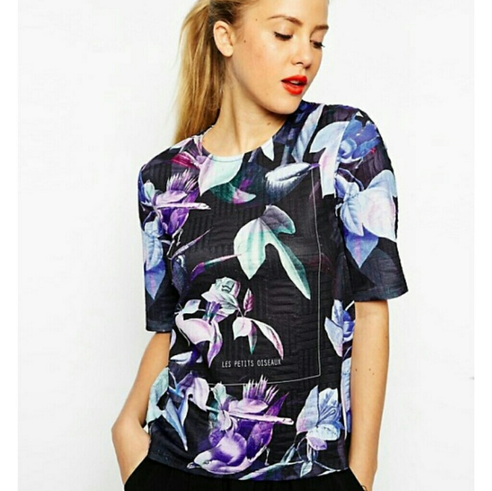 🔥NWOT ASOS Les Petits Oiseaux Half Sleeve Top🔥